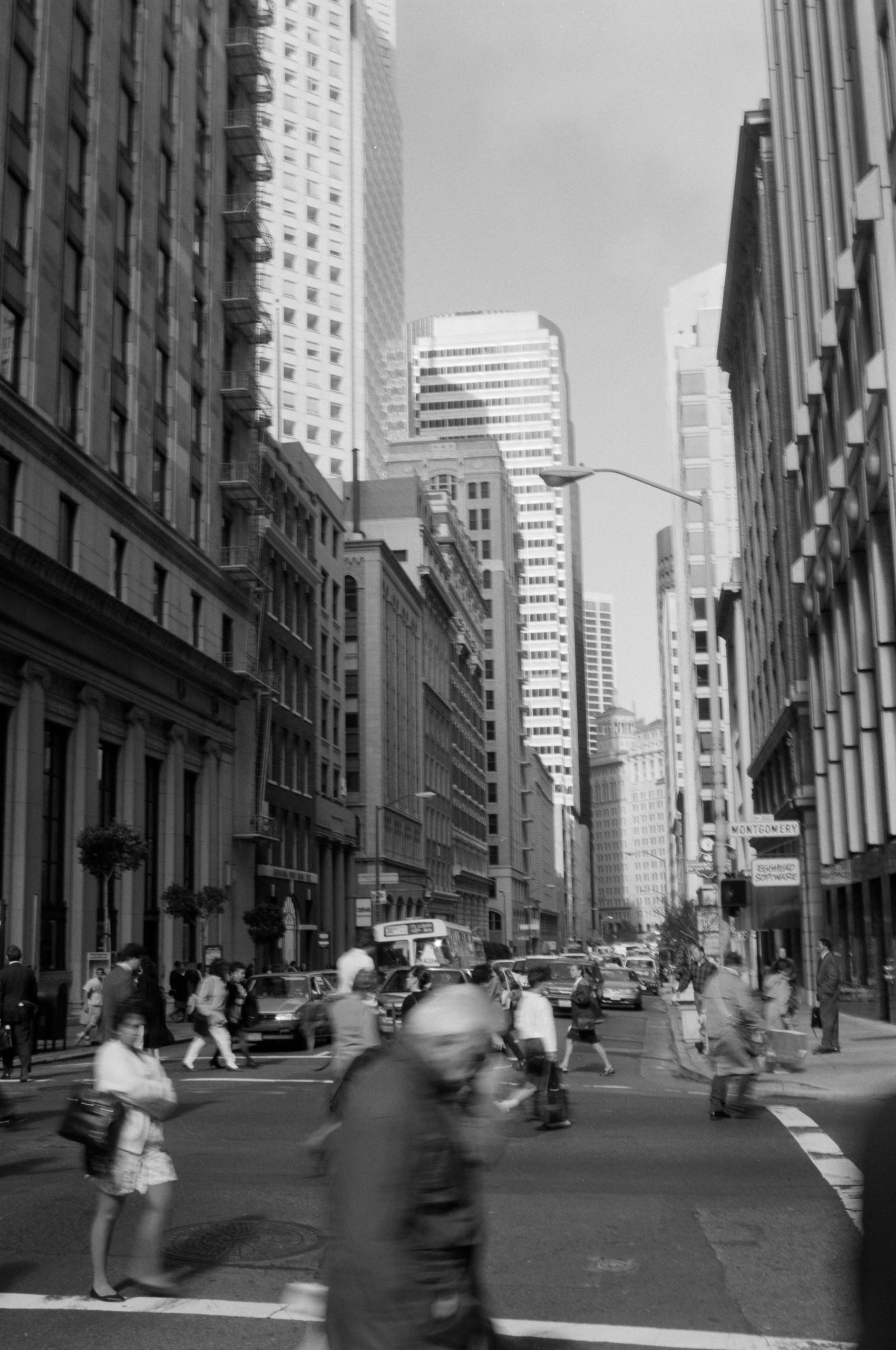 AHP FilmScan 240807 0372